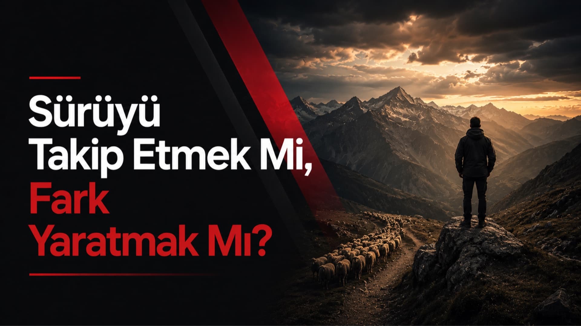 Çayırda otlayan koyun sürüsü